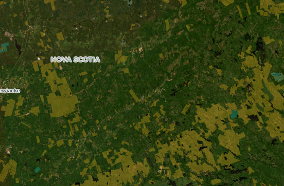 Discover Wild Nova Scotia